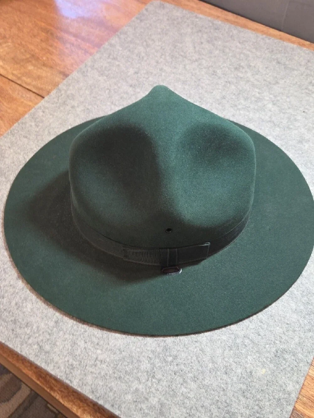 Men's 3XXX Beaver Quality Forest Green Wide-Brim Wool Outdoors Fedora Hat
